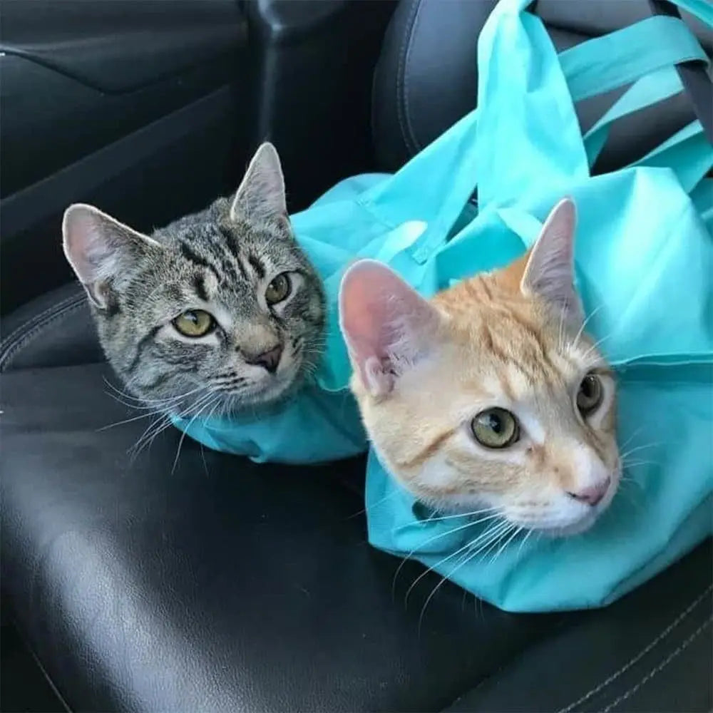 Scratch-Guard Travel Cat Carrier Pouch