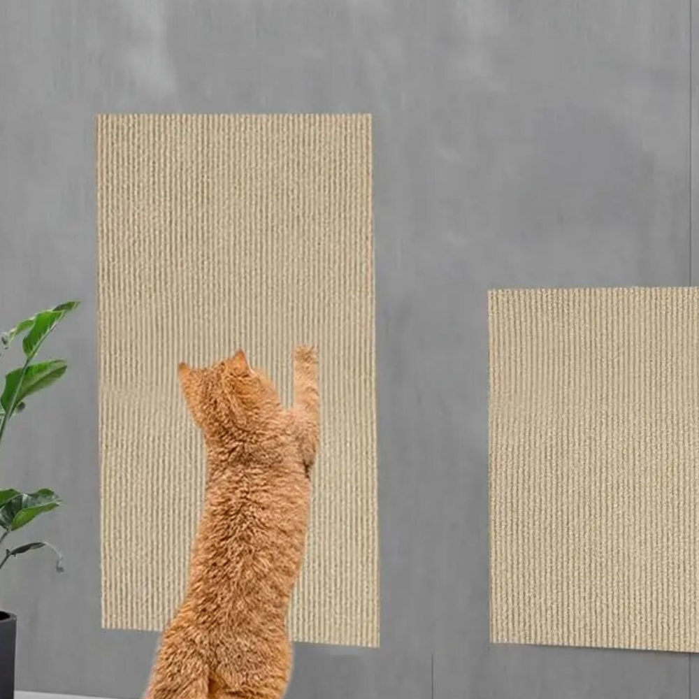 Premium Cat Scratch Guard Couch Protector Carpet Mat