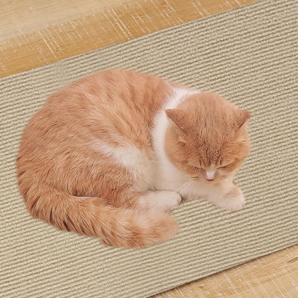 Premium Cat Scratch Guard Couch Protector Carpet Mat