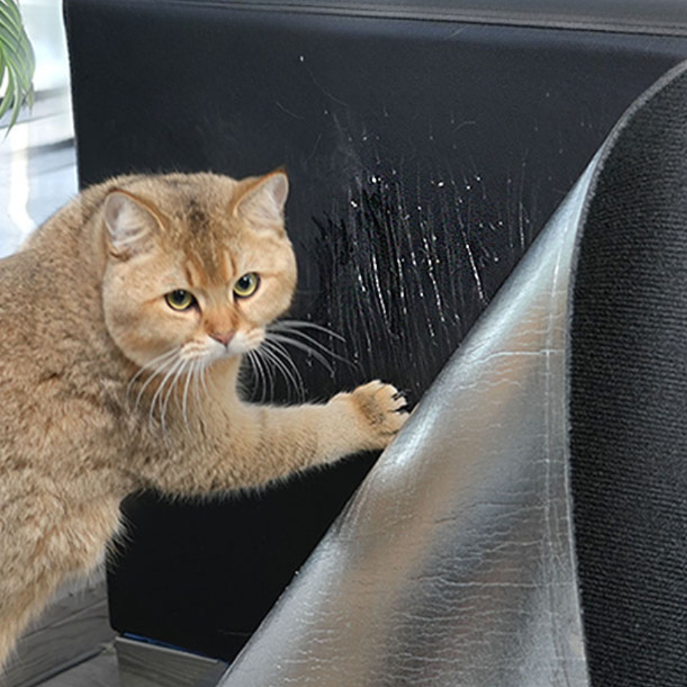 Premium Cat Scratch Guard Couch Protector Carpet Mat