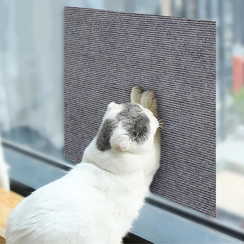 Premium Cat Scratch Guard Couch Protector Carpet Mat