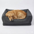 Orthopedic Non-Slip Car Dog Bed for Back Seat