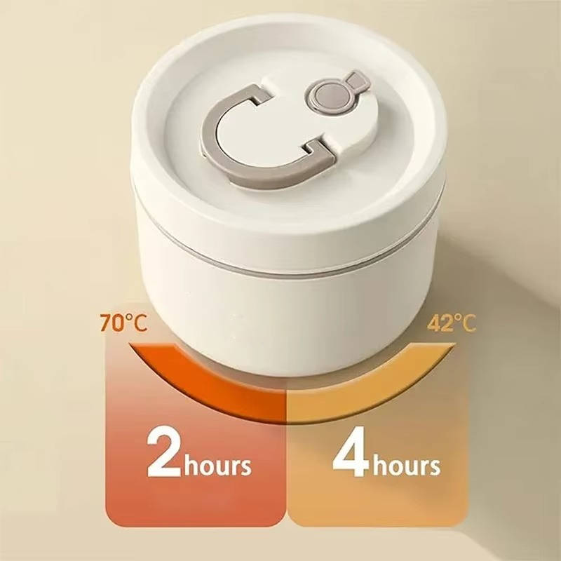 Stainless Steel Insulated Lunch Box