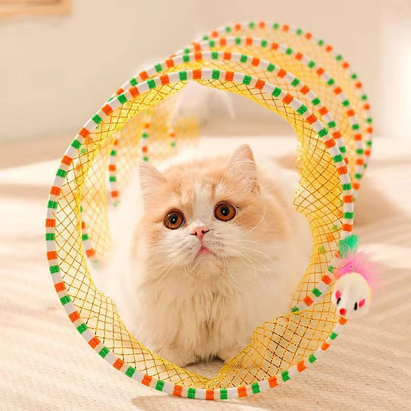 Interactive Cat Hunting Toys for Curious Cats
