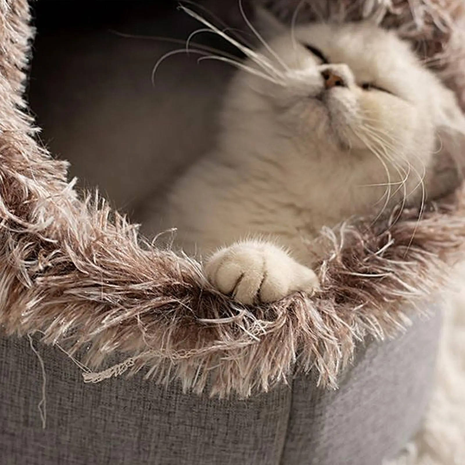 Cozy Winter Cat Bed for Warm, Snug Naps