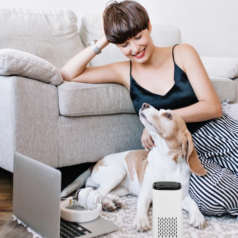 Pet Odor Eliminating Air Purifier