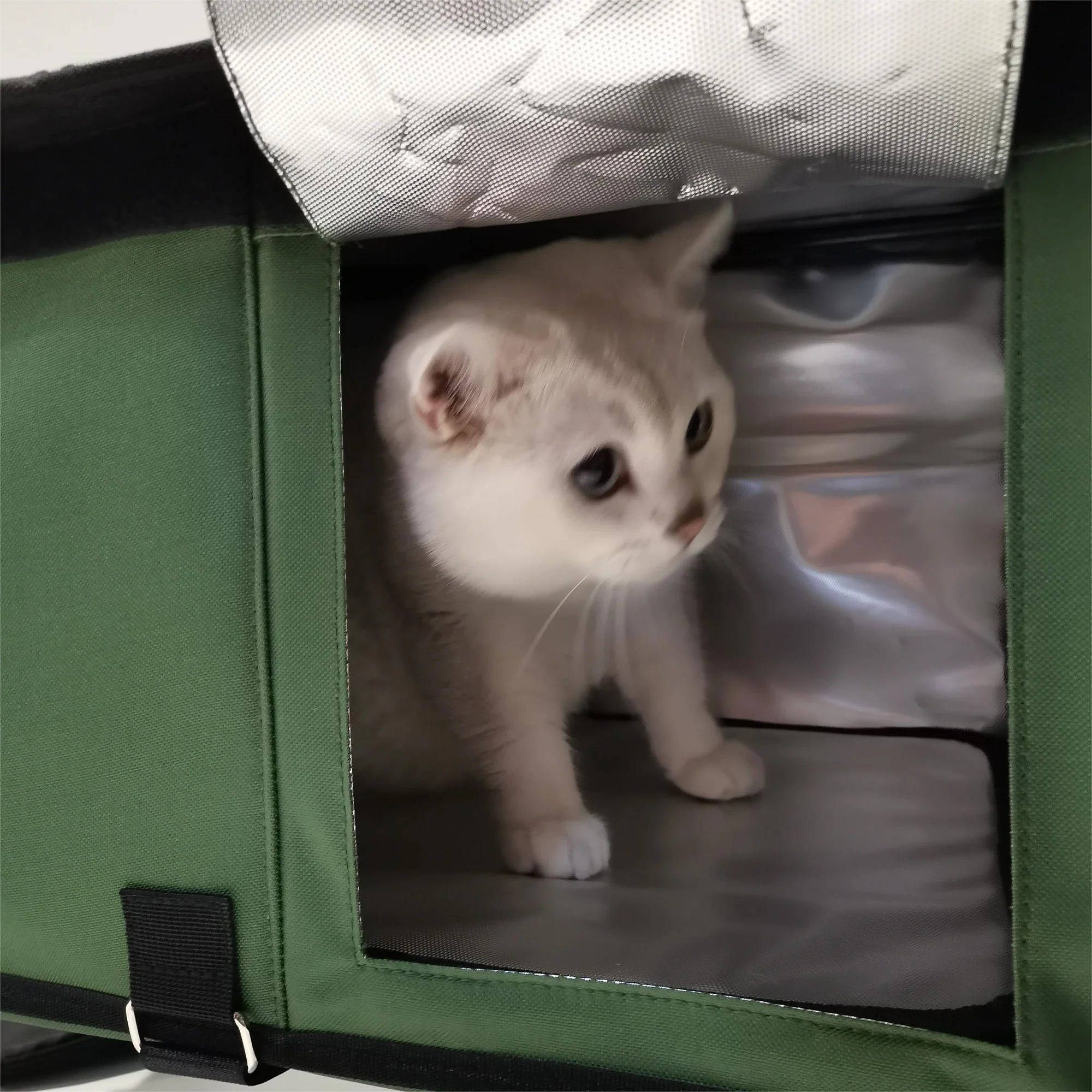 Cozy Heated Outdoor Cat House for Winter Comfort